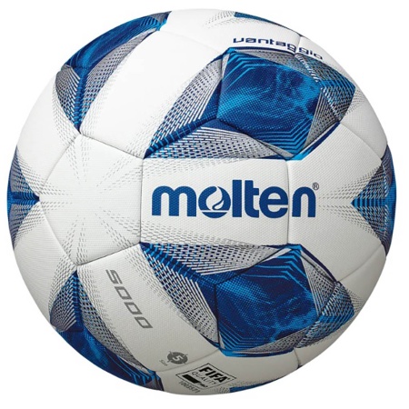 Купить Мяч футбольный Molten F5A5000 в Сегеже 