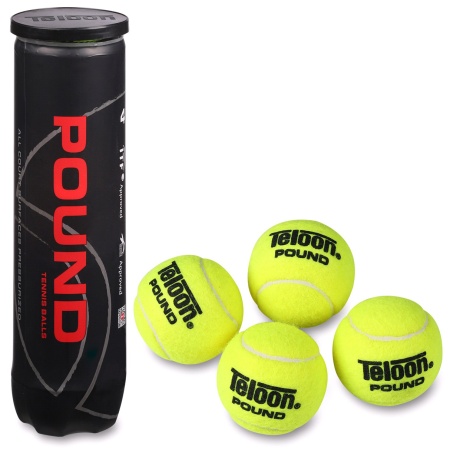 Купить Мяч для большого тенниса Teloon 828Т Р4  (4 шт) в Сегеже 